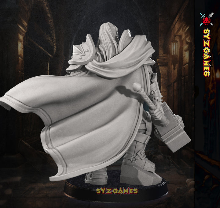 Human Prince Paladin