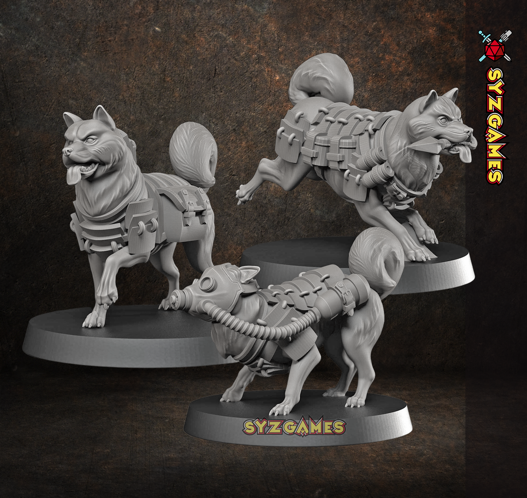 Chiens de guerre