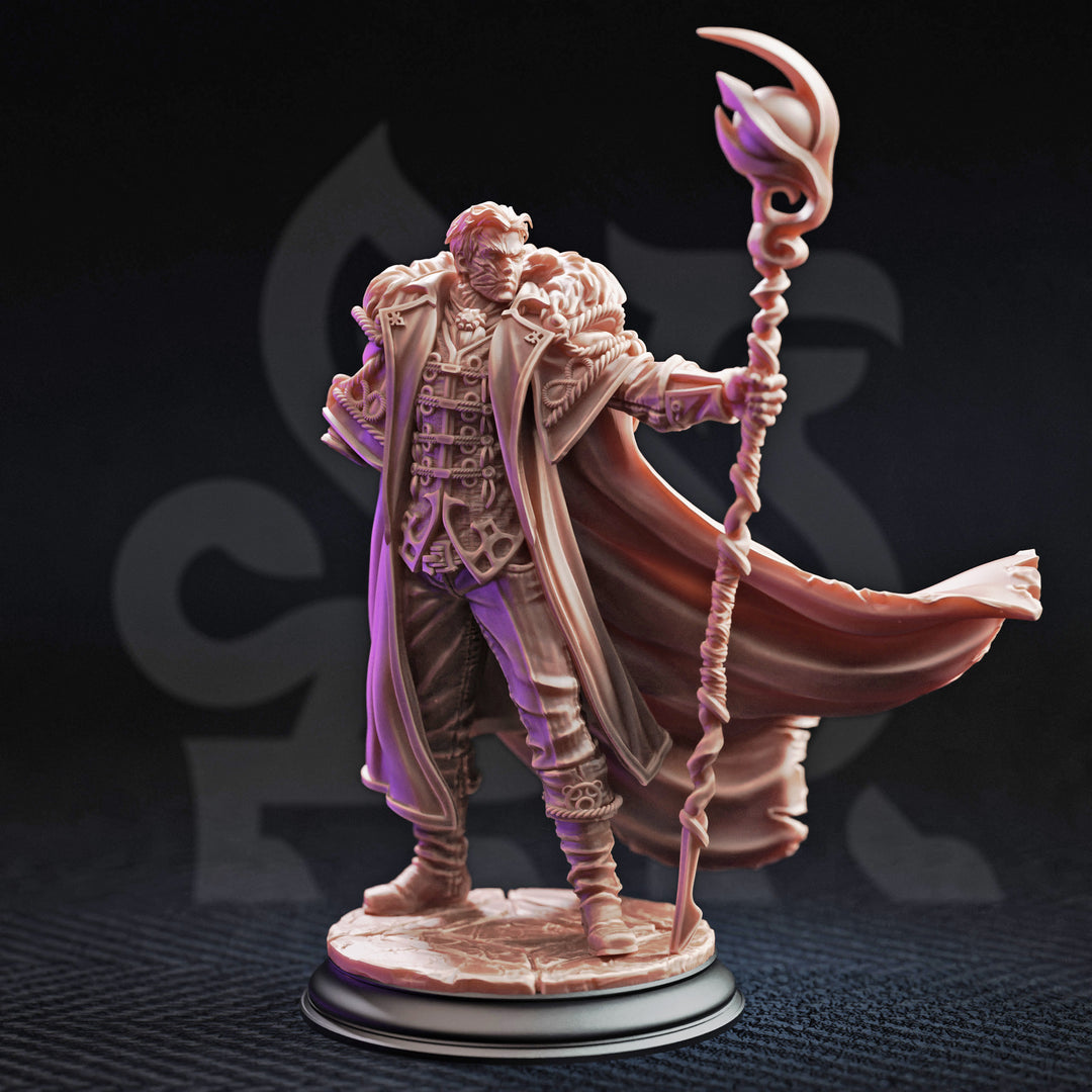 Le roi