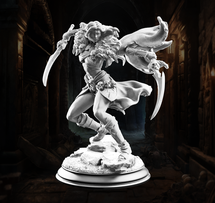 Drow Spider Rogue - Nara&