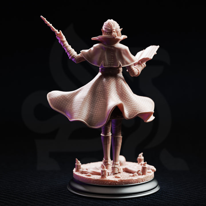Le roi