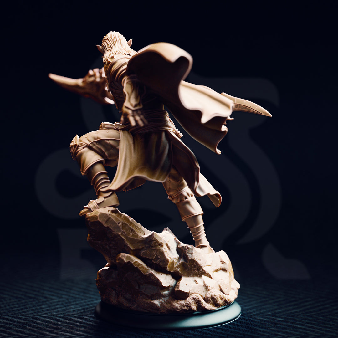Le roi
