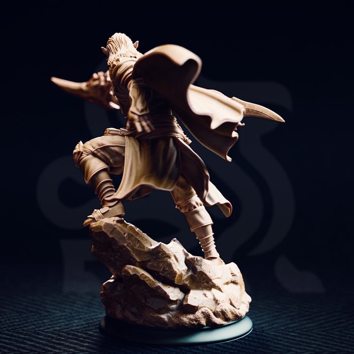 Le roi