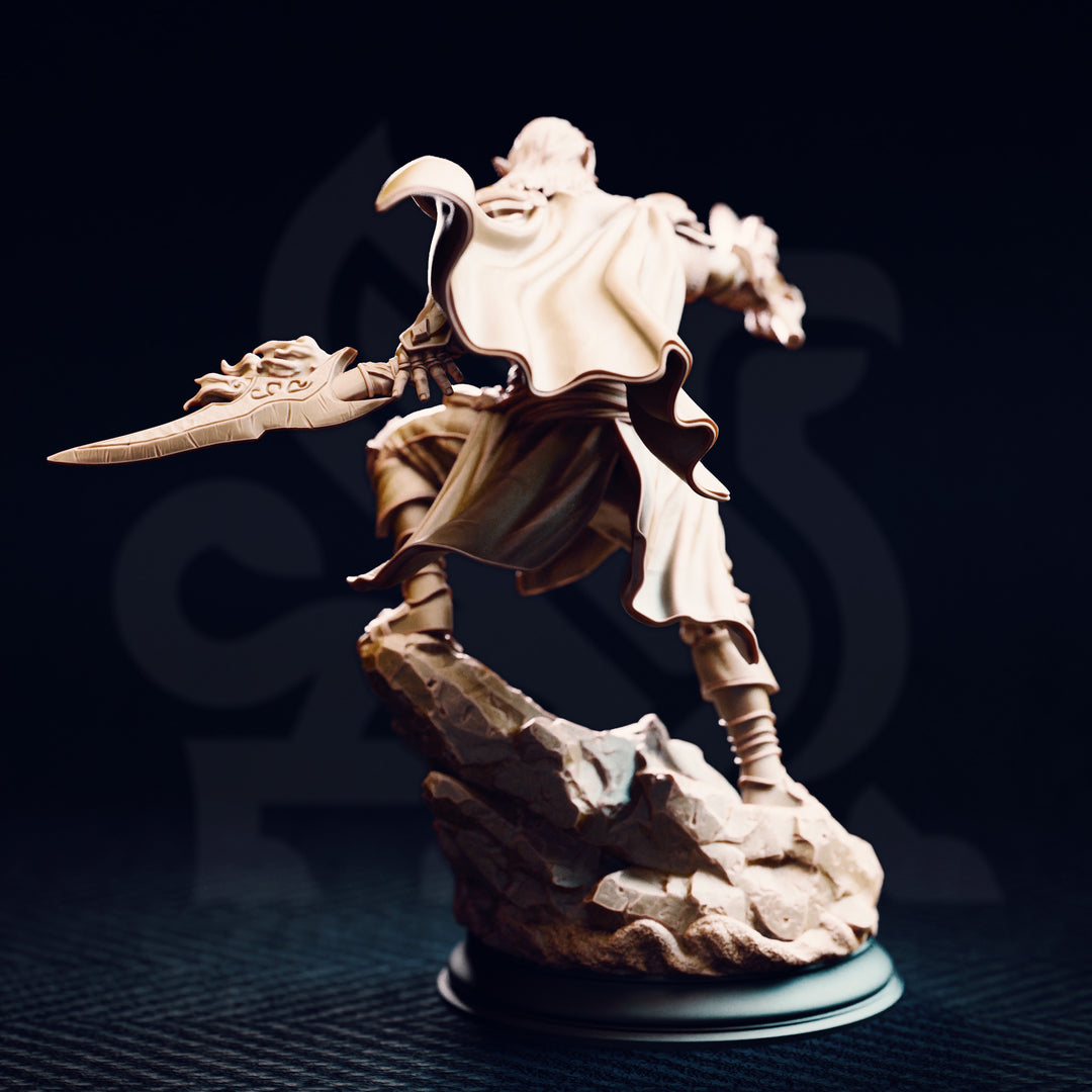 Le roi