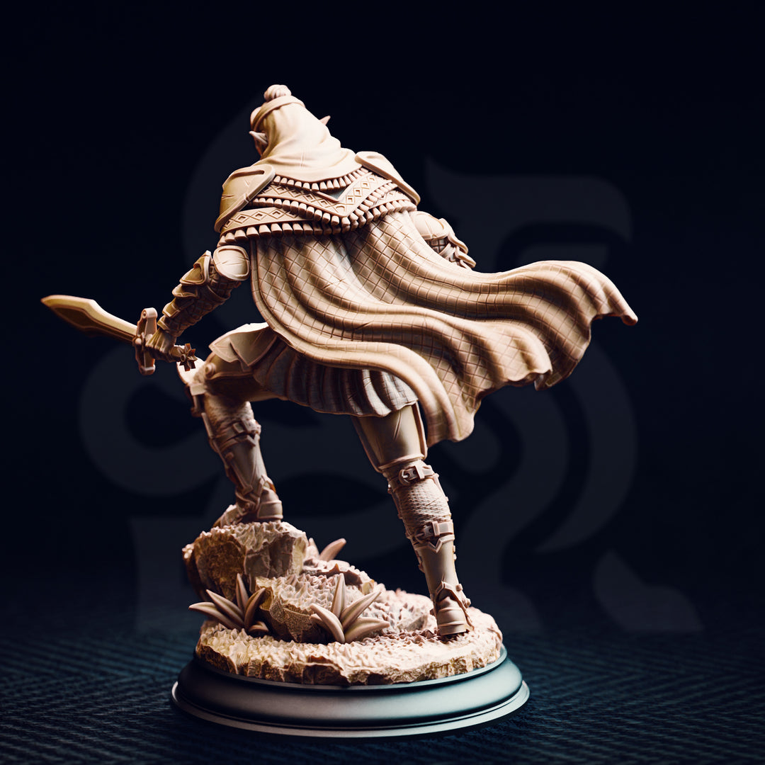 Le roi