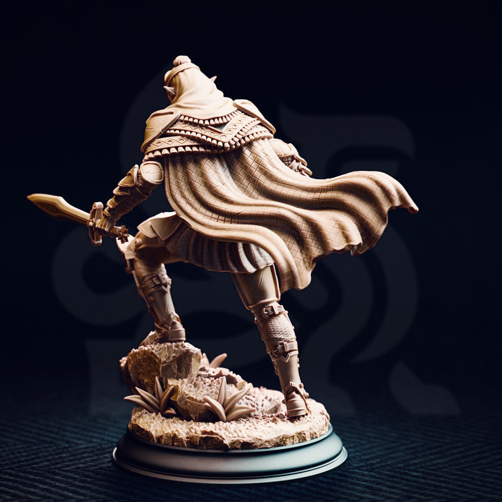 Le roi