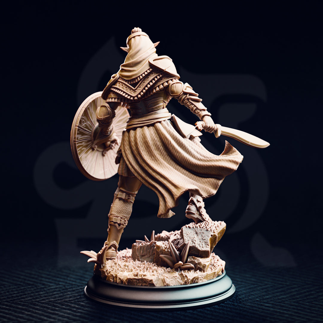 Le roi