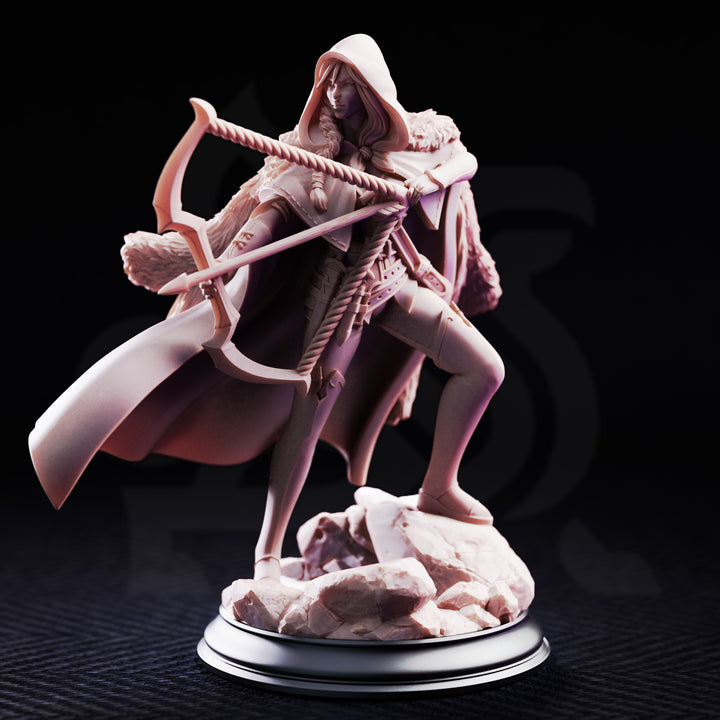 The Crimson Hood - Brigand of the Woods front view