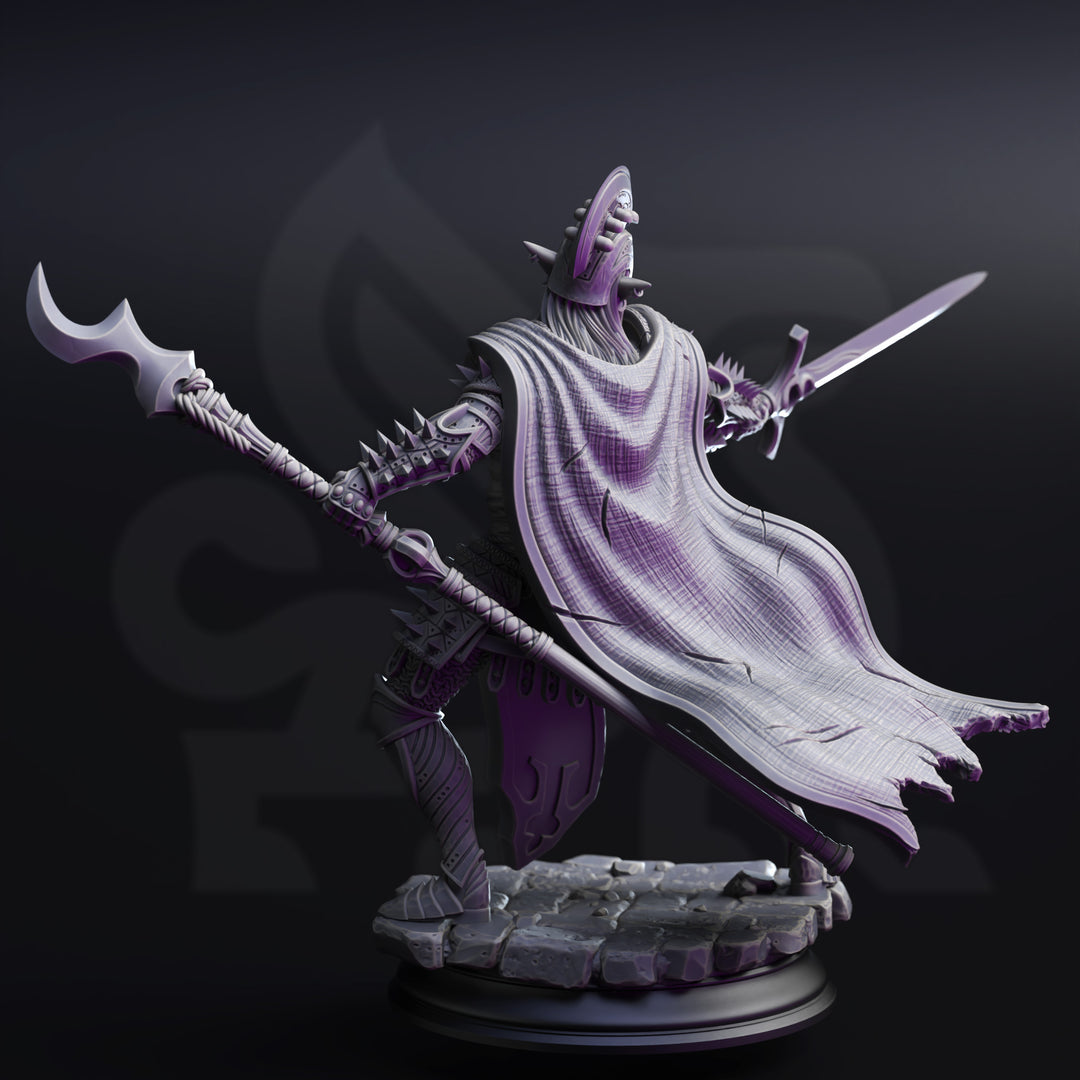 Elite Drow House Guard-The Ordained