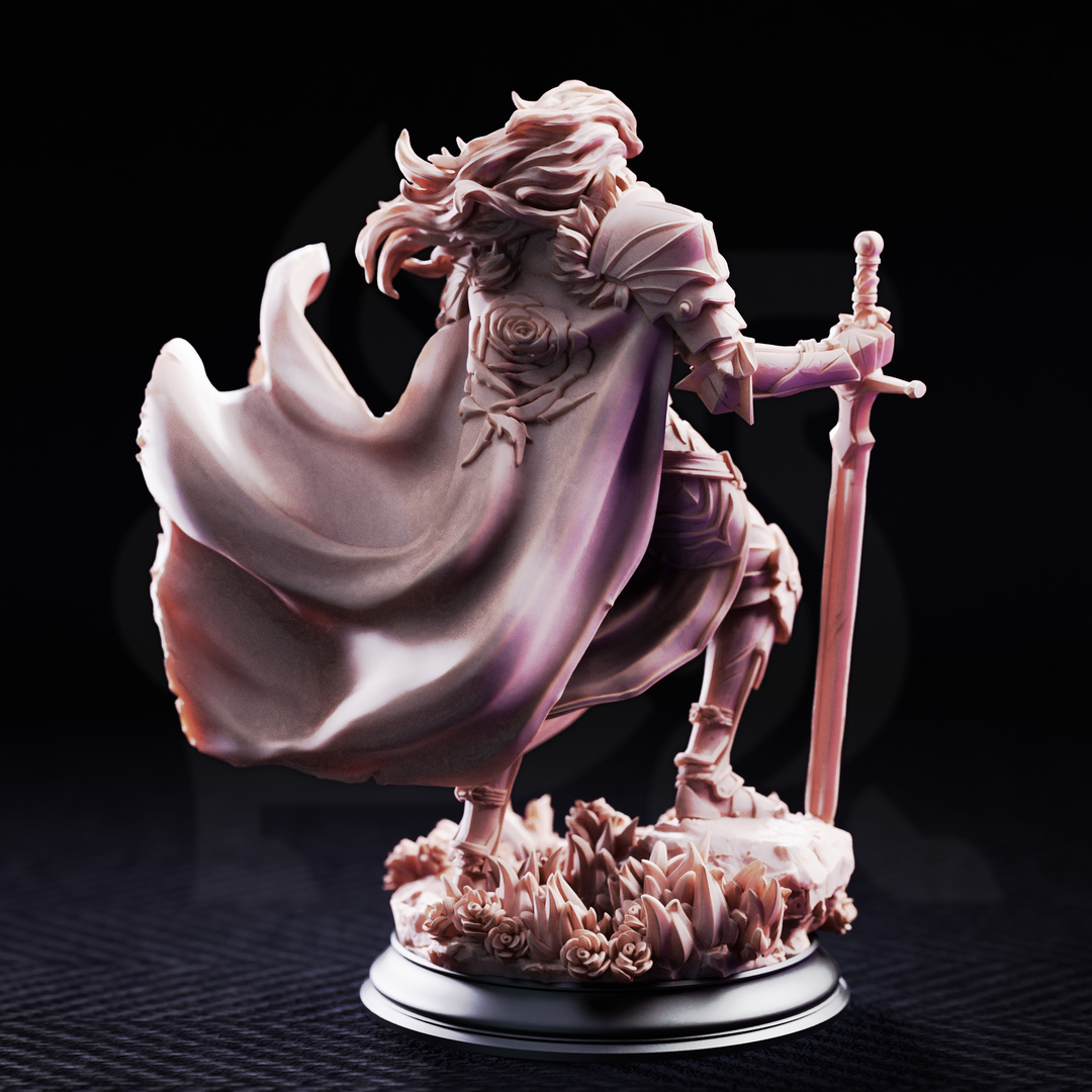Prince Charming - Noble Knight back view