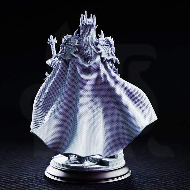 Drow Spider Commander - Xanathos