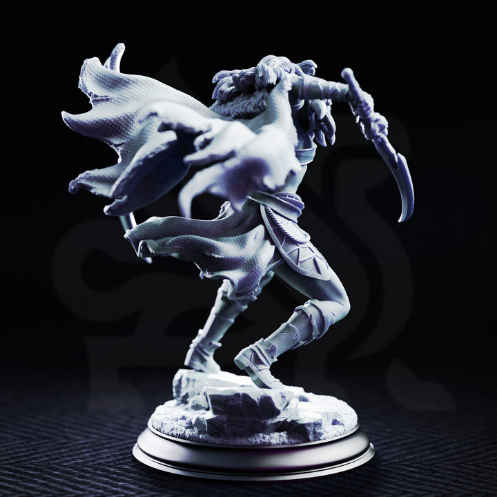 Drow Spider Rogue - Nara&