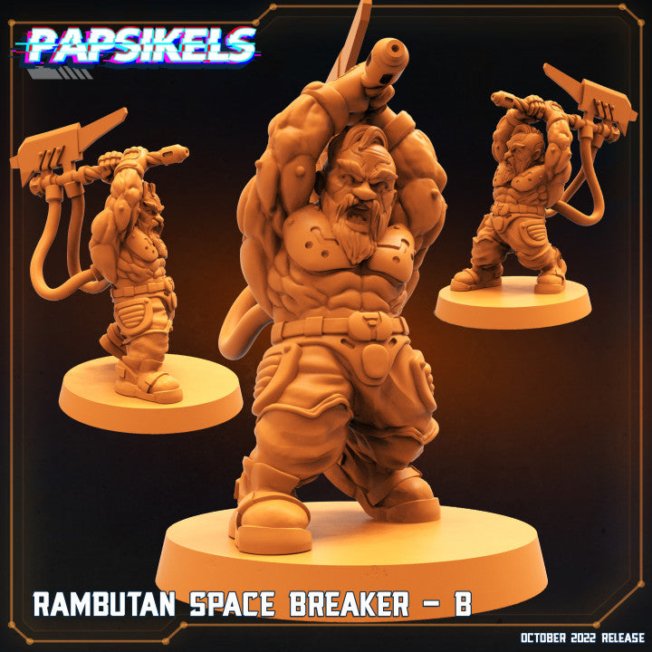 Ramboutan Space Breaker B