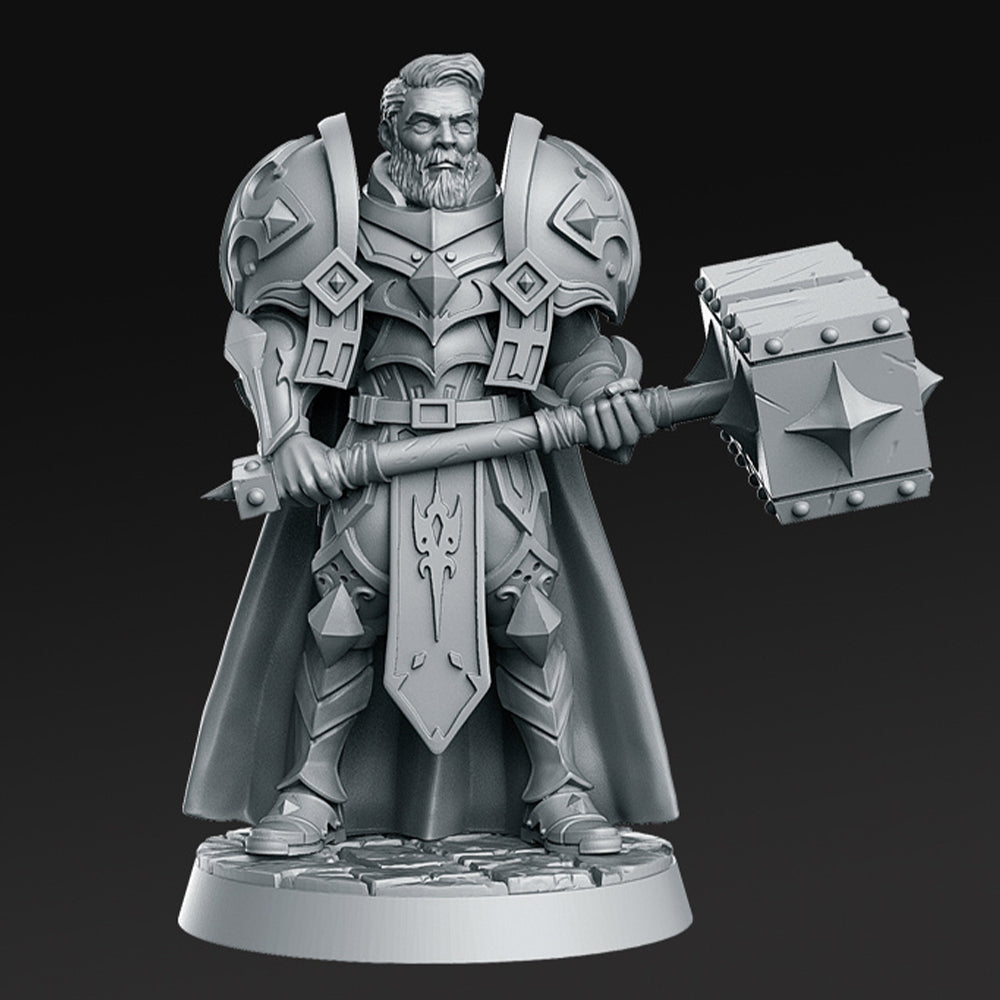 Sir Warrick Male Paladin Fantasy Minis DnD Warhammer Roleplaying RPG