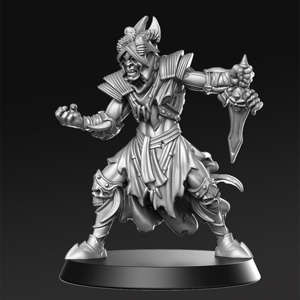 Rochard Dark Priest Fantasy Minis DnD Warhammer Roleplaying RPG D&D