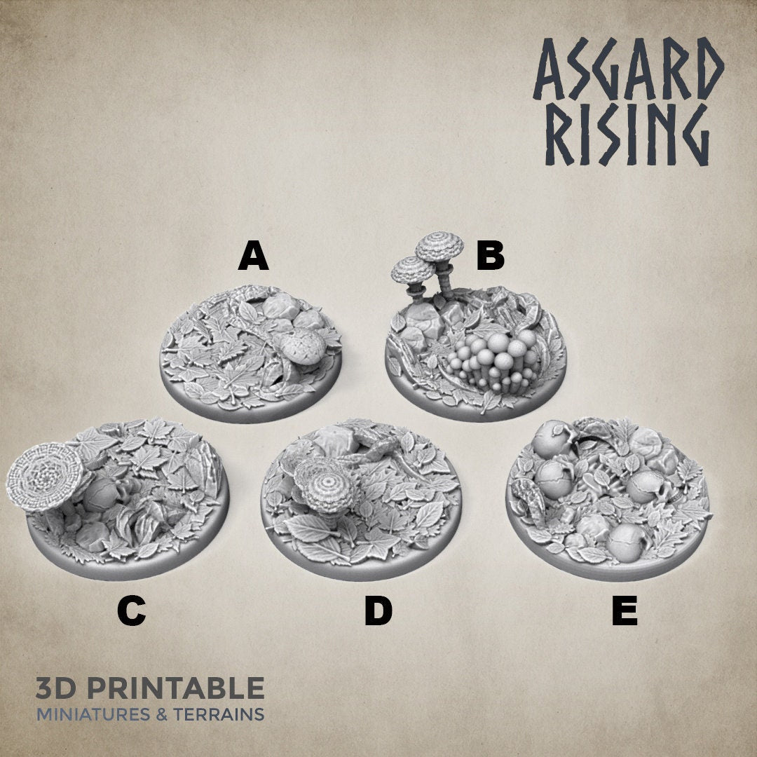Round Bases | Fantasy Miniature| Forest Theme | D&D | Asgard Rising