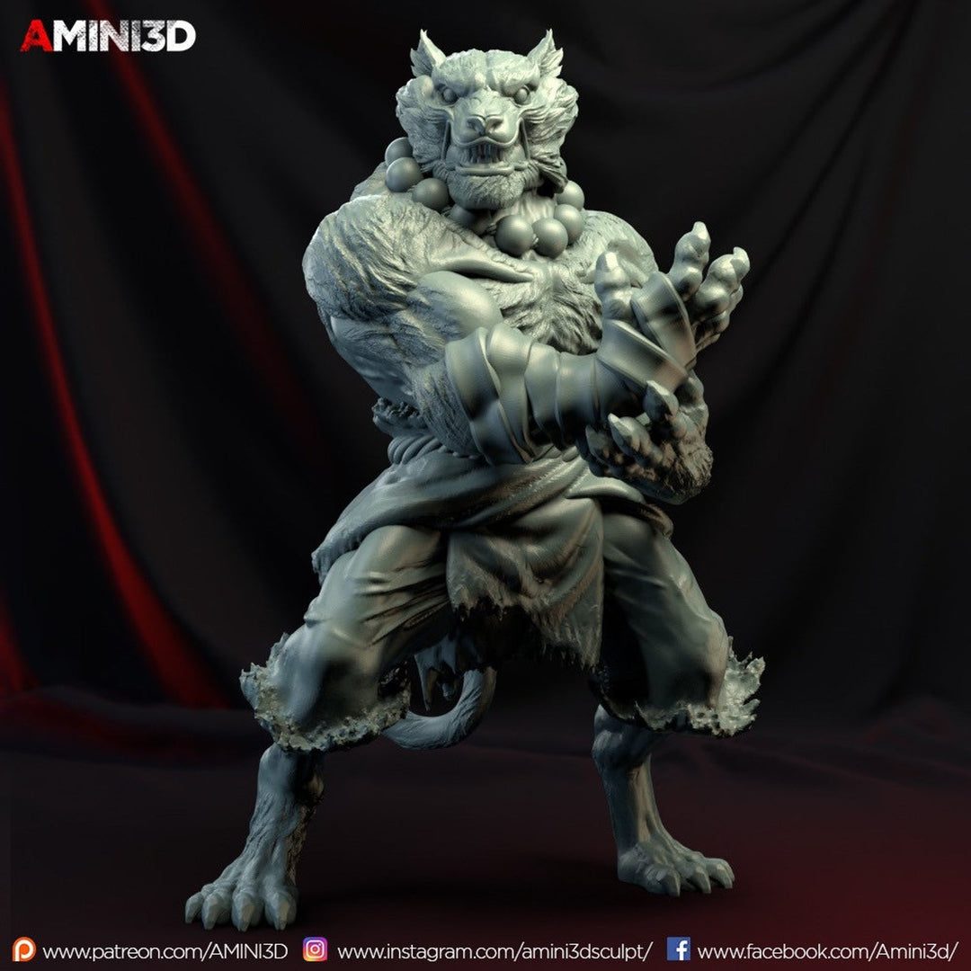 Tabaxi Monk, Male - SYZGames