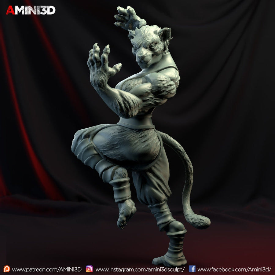 Tabaxi Monk, Female - SYZGames