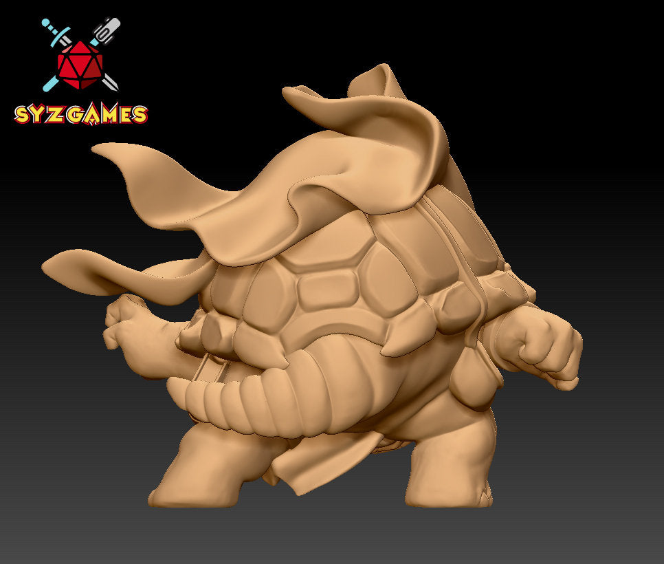 Tortle wizard