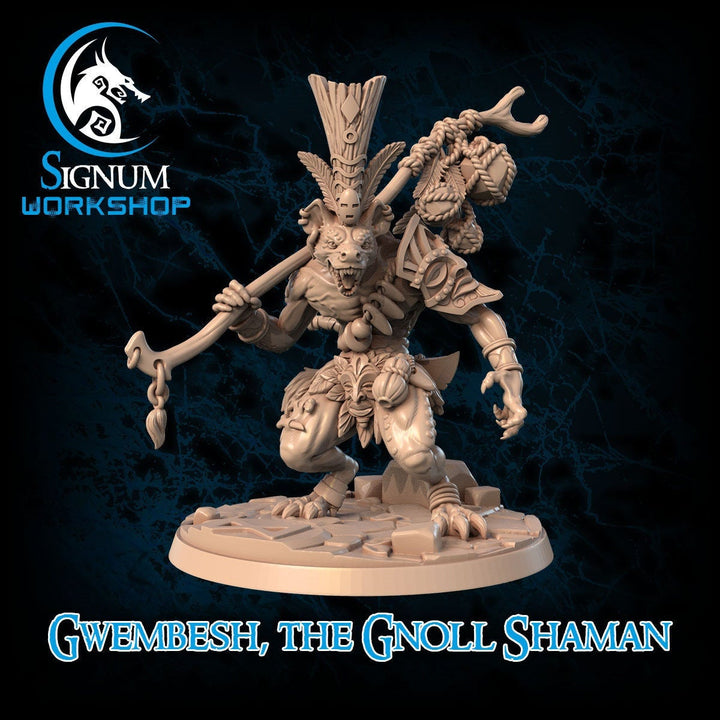 Gwembesh, the Gnoll Shaman
