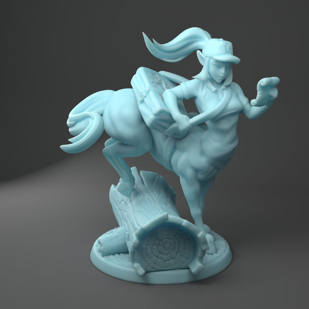 Dordesh The Centaur | Resin Fantasy Miniature | DnD Miniature | Tabletop Games | Twin Goddess