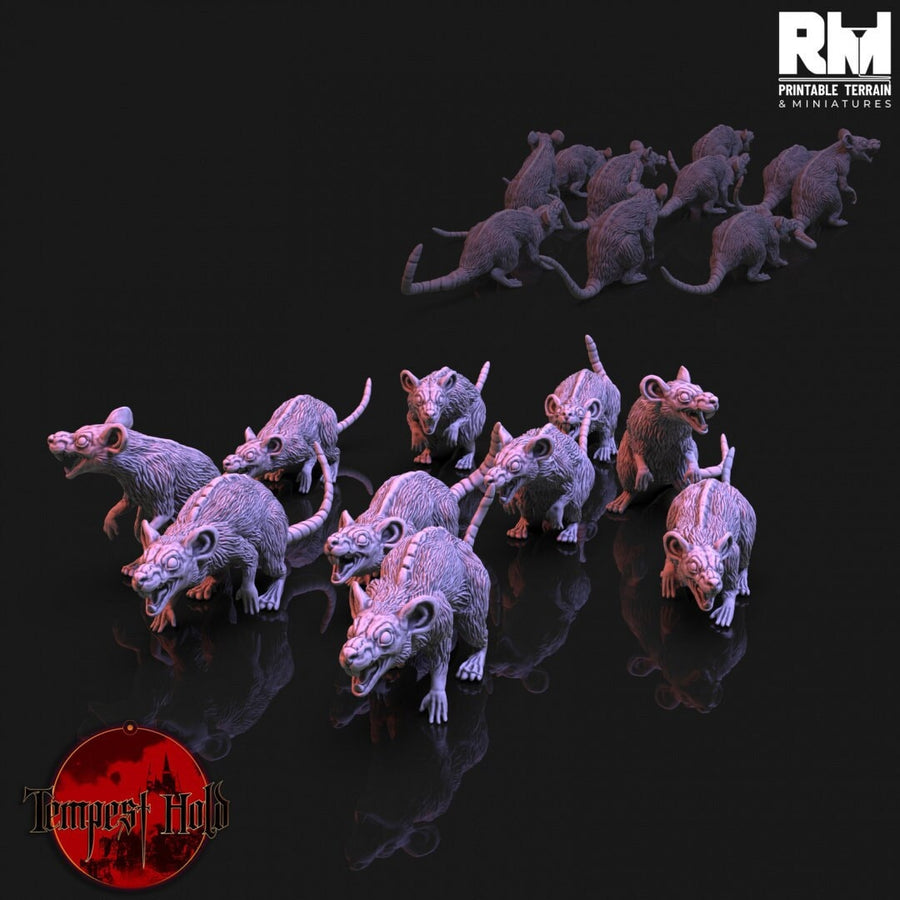 Giant Rats | Fantasy Resin Miniature | D&D | Legion | Tabletop Game | RMPrintableTerrain