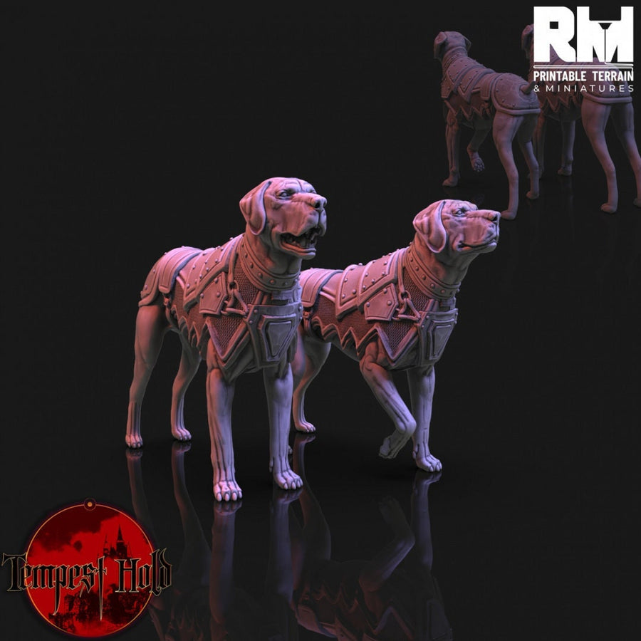 Warhounds | Fantasy Resin Miniature | D&D | Legion | Tabletop Game | RMPrintableTerrain