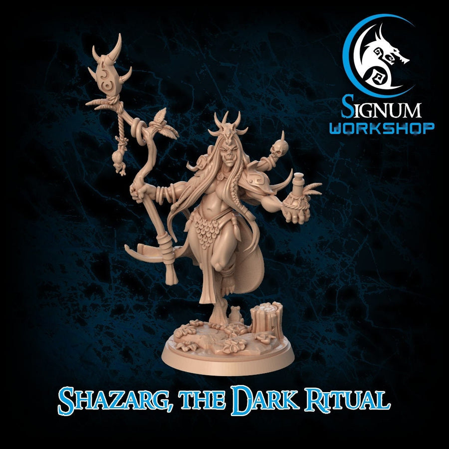 Shazarg the Dark Ritual | Fantasy Resin Miniature | DnD Miniatures | Tabletop Games | RPG |  Signum Workshop