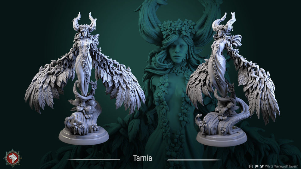 Tarnia | 32mm or 75mm  Fantasy Resin Miniature | DnD Miniature | RPG  | Tabletop Game