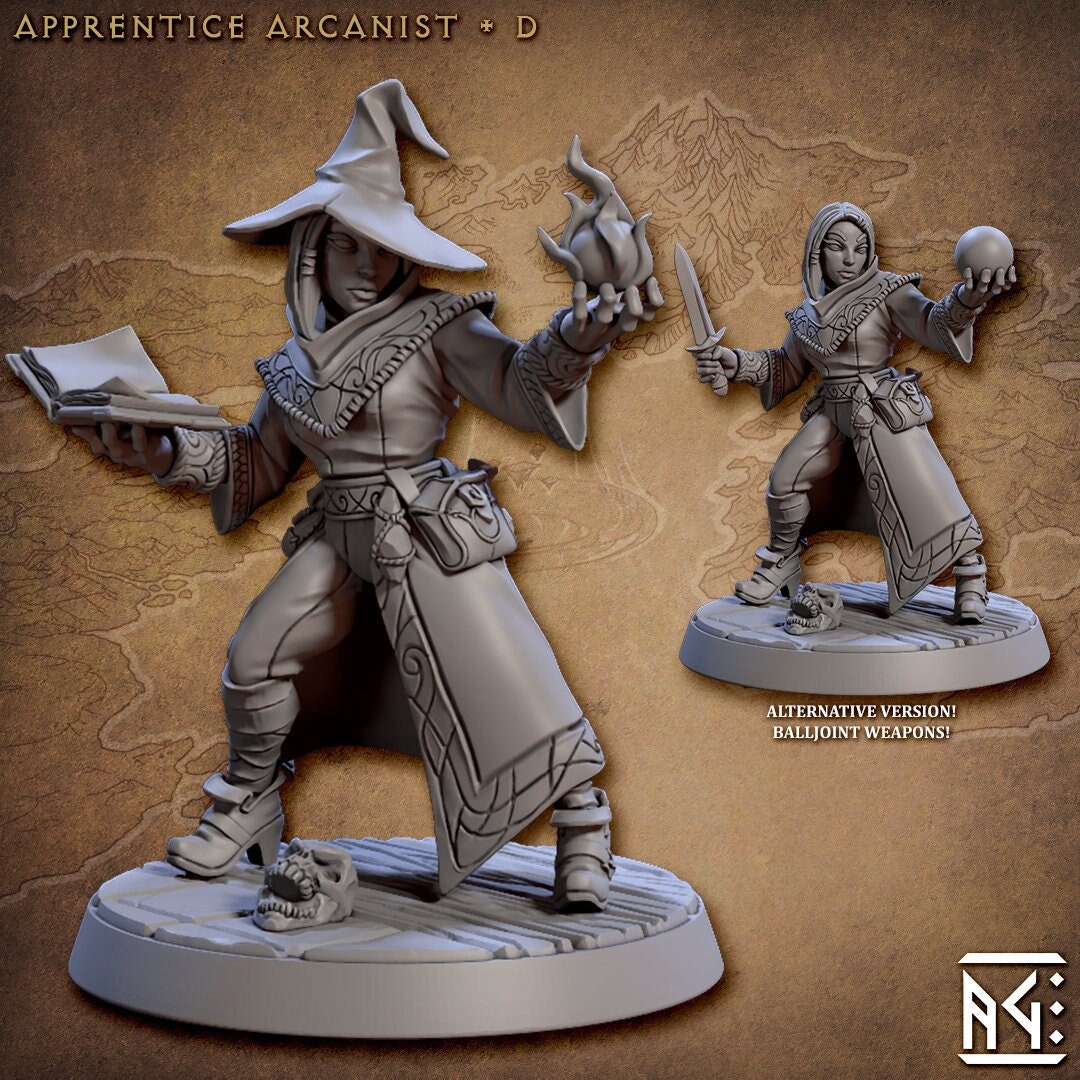 Apprentice Arcanist D | Fantasy Miniature | DnD Miniature | RPG | Tabletop Game | Artisan Guild