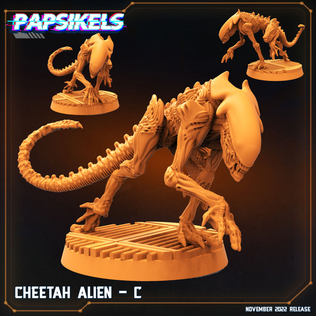 Cheetah Alien-C