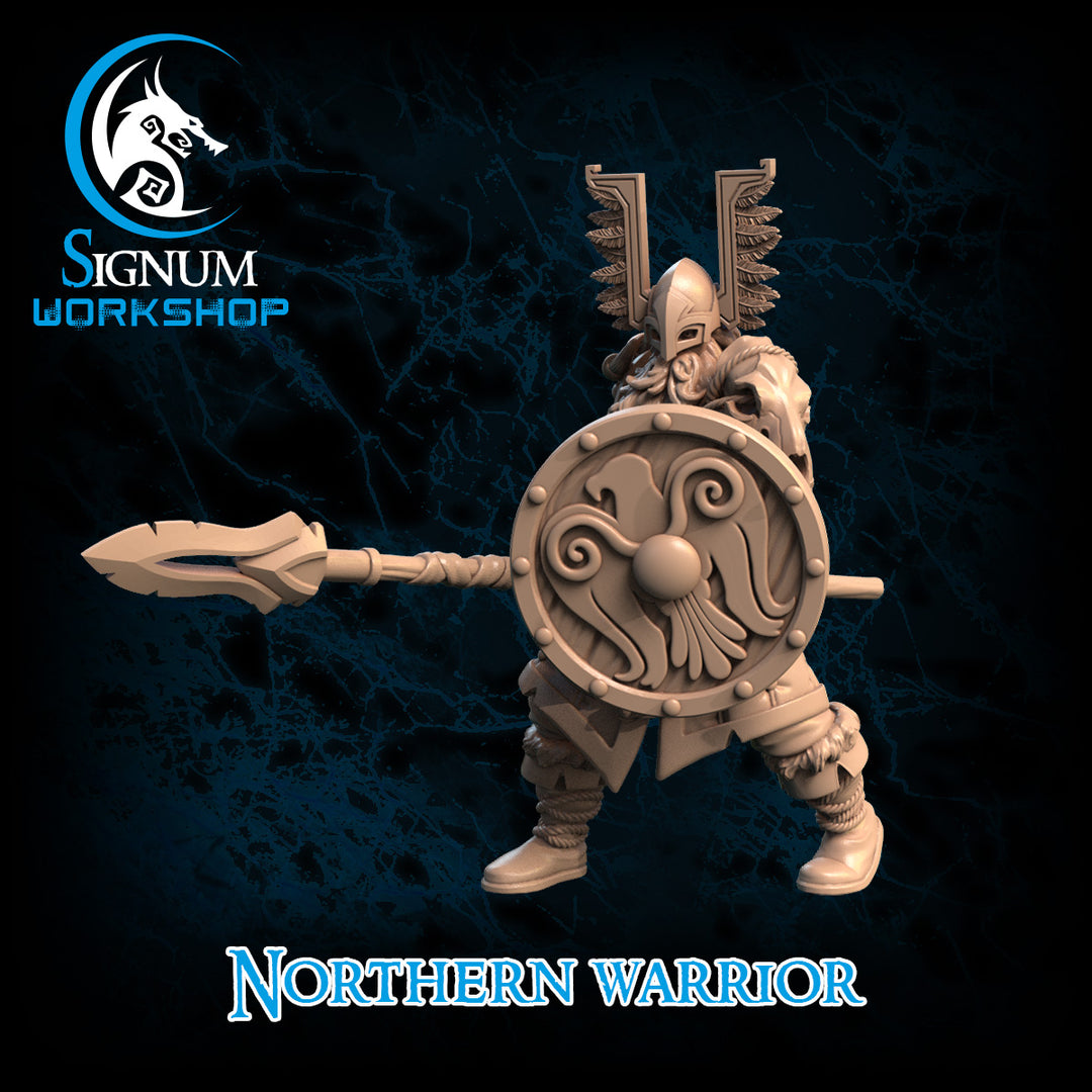 Northern warrior D